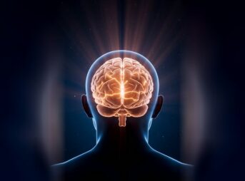 メタ認知 脳が身につけられる、いちばん強い力｜思考を「眺める」と人生が軽くなる